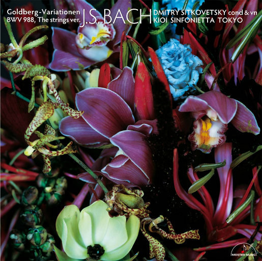 国产高三清纯女学生让
